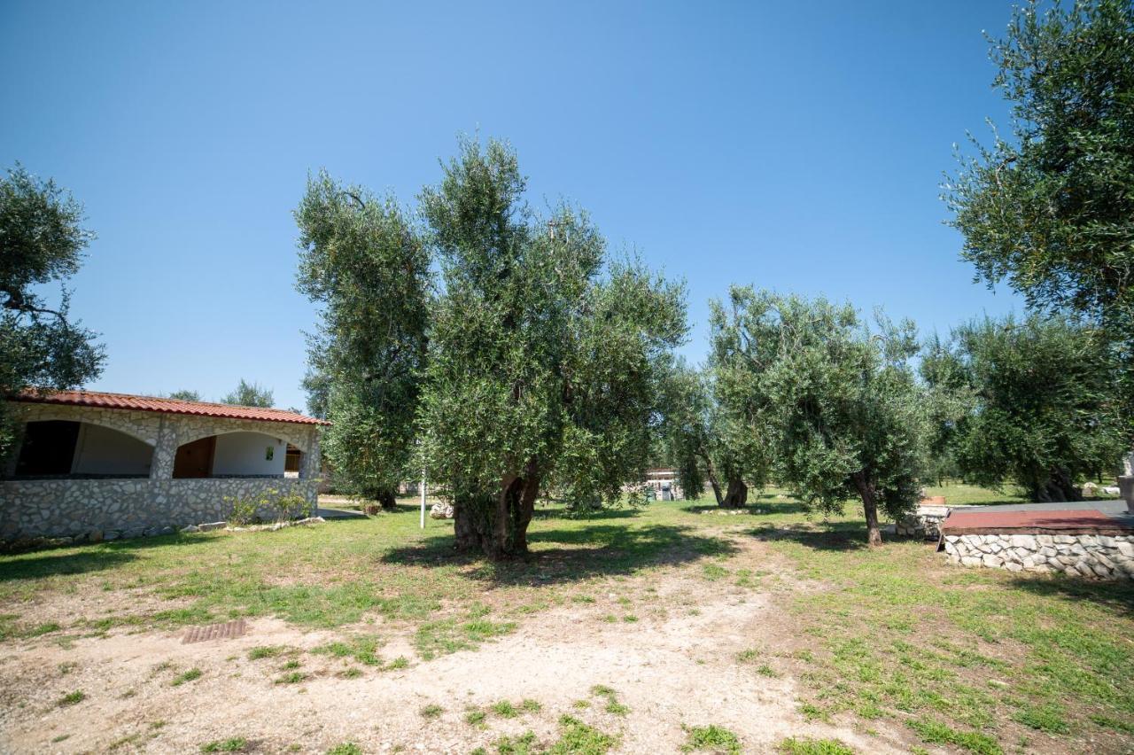Coppola Rossa Relax Bed & Breakfast Vieste Exterior photo